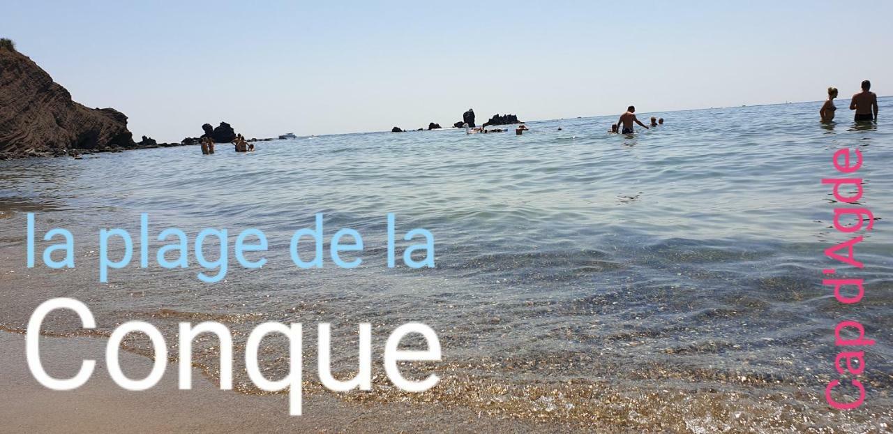 Residence De Standing La Pecherie Spacieux T3 Comme Un Cocon Familial Vue Mer Et Sur L'Avant Port Sur Le Bout Du Bout De Cap D'Agde Seule Cap En Occitanie Εξωτερικό φωτογραφία